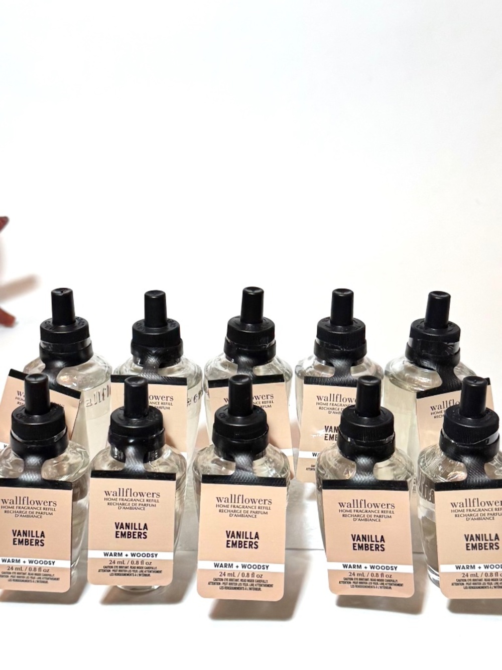 VANILLA EMBERS Wallflowers  x10